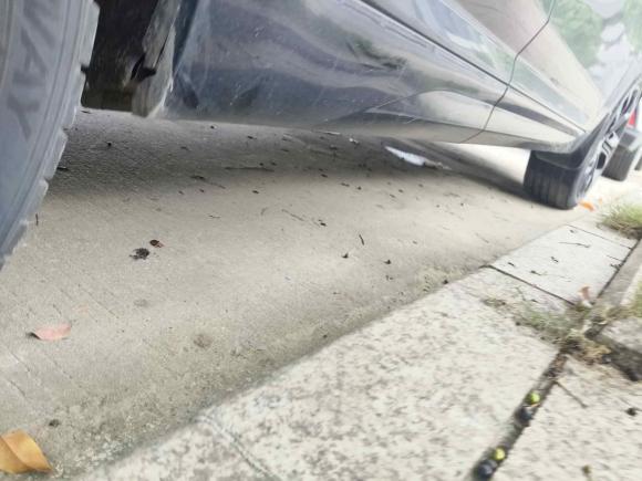 [广州·粤A] 二手魏牌魏牌 VV72017款 2.0T 旗舰型