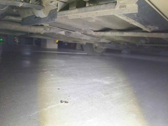 [常州·苏G] 二手奔腾奔腾X402018款 网红版 1.6L 自动互联智酷型