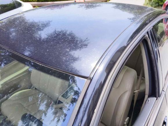 [青岛·鲁B] 二手大众Passat领驭2009款 2.0L MFI 自动尊享型