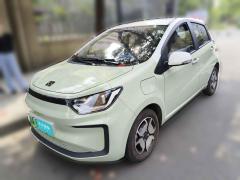 [成都·川A] 思皓花仙子2022款 花仙子款 满天星