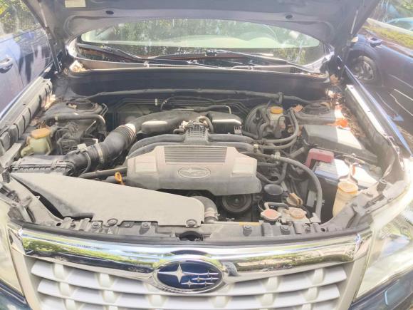 [上海·沪L] 二手斯巴鲁森林人2011款 2.5XS 自动豪华版