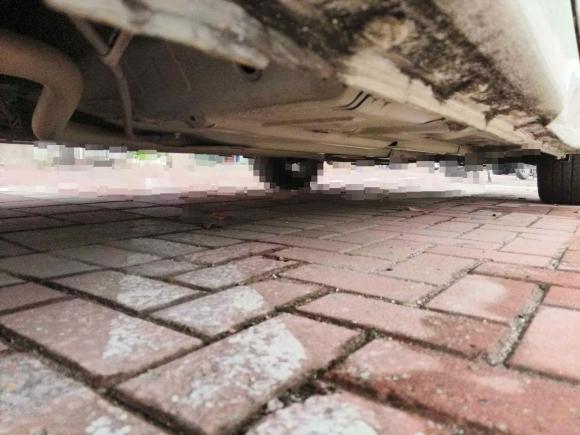 [嘉兴·浙F] 二手本田思域2013款 十周年纪念 1.8L 自动舒适版