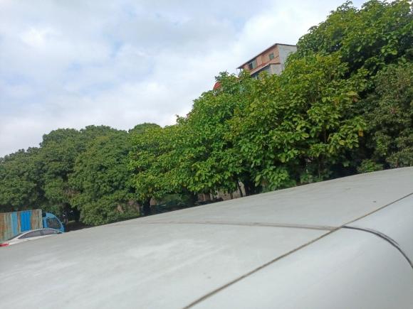 [广州·粤A] 二手开瑞海豚EV2019款 智享版