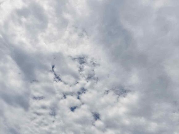 [上海·鄂L] 二手丰田凯美瑞2010款 240G 经典版