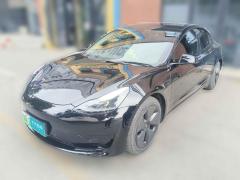 [济南·鲁A] 特斯拉Model 32021款 标准续航后驱升级版 3D6