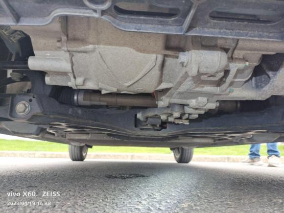 [上海·沪A] 二手欧拉欧拉黑猫2019款 351km 灵智版