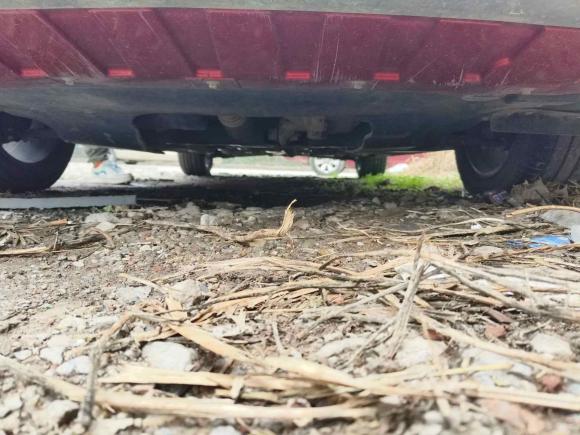 [温州·浙C] 二手名爵MG62019款 20T 手动运动版