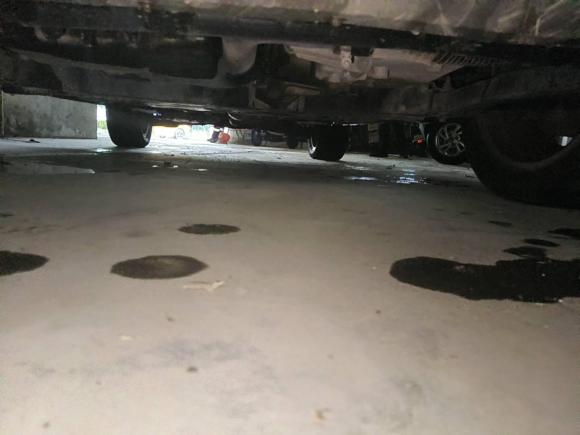 [嘉兴·浙F] 二手福特翼虎2013款 2.0L GTDi 四驱尊贵型