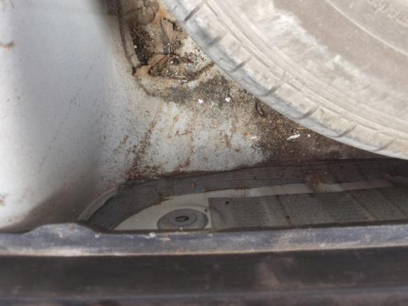 [杭州·浙E] 二手斯柯达昕动2014款 1.6L 自动悦享版