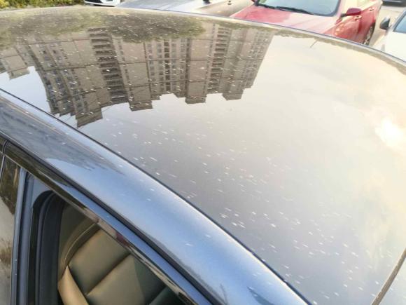 [上海·沪A] 二手名爵MG4 EV2022款 520km 旗舰版