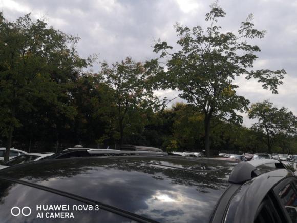 [南京·苏A] 二手荣威荣威W52014款 1.8T 2WD 自动胜域特装版