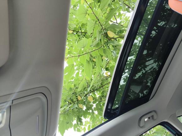 [上海·沪C] 二手哈弗哈弗赤兔2021款 激擎版 1.5T 铂金兔