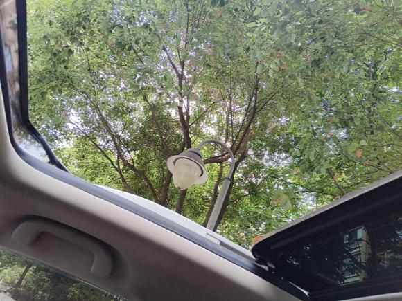 [上海·沪H] 二手比亚迪唐新能源2015款 2.0T 四驱旗舰型