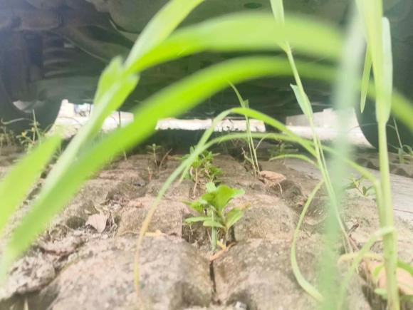 [杭州·浙A] 二手马自达马自达32010款 1.6L 自动经典时尚型