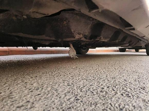 [北京·豫E] 二手福特金牛座2017款 EcoBoost 245 豪华型