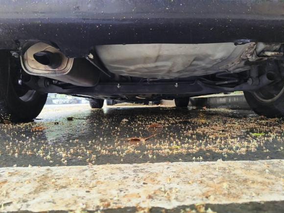 [苏州·苏E] 二手日产骐达TIIDA2008款 1.6L 自动智能型