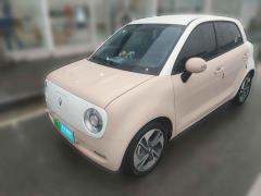 [苏州·苏E] 欧拉欧拉黑猫2022款351km舒享型三元锂