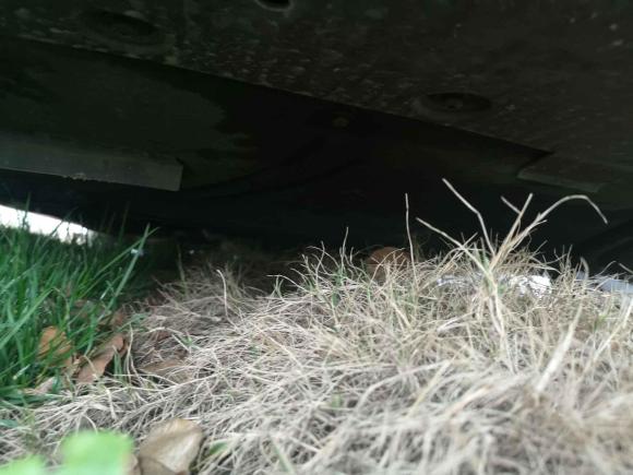 [上海·皖L] 二手福特蒙迪欧2022款 EcoBoost 245 至尊型