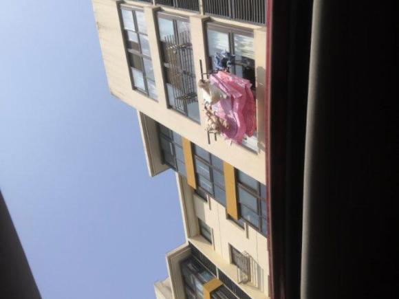 [上海·沪C] 二手名爵名爵62017款 20T 自动Trophy尊享互联网版 国V