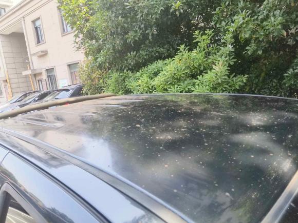 [宁波·浙B] 二手长城风骏52017款 2.0T欧洲版柴油两驱精英型大双排GW4D20D