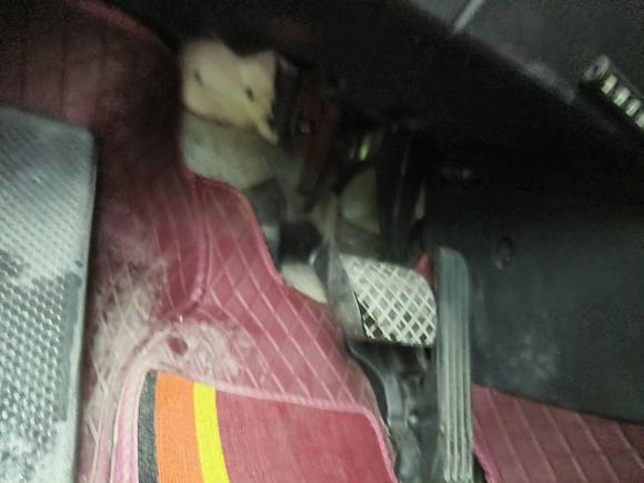 [宁波·浙B] 二手大众速腾2018款 1.6L 自动舒适型