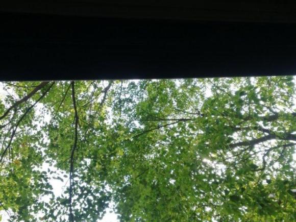 [上海·赣E] 二手大众速腾2012款 1.4TSI 手动豪华型