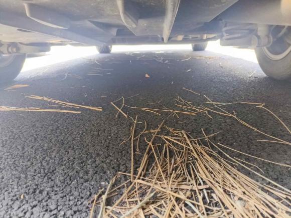 [嘉兴·浙F] 二手丰田雷凌2014款 1.6G CVT精英版