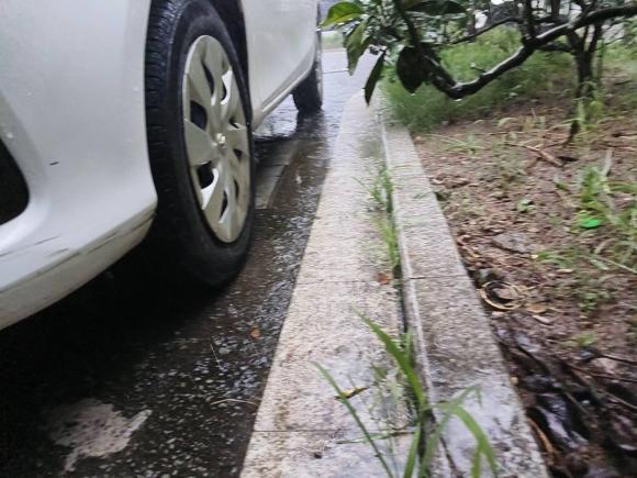 [宁波·浙B] 二手丰田威驰2016款 1.5L 自动智臻星耀版