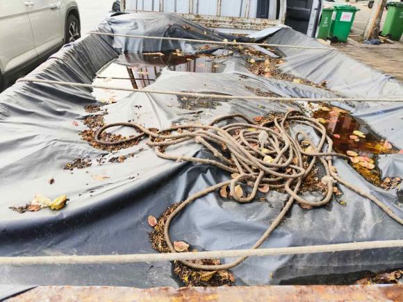 [合肥·皖A] 二手福田祥菱V2018款 1.2L 半承载3170轴距双排(厢车)4W12M1