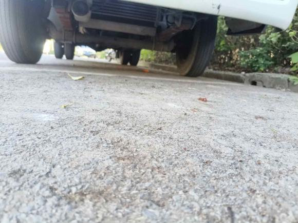 [上海·苏U] 二手福田福田征服者32020款 2.0T征服者3两驱乐享型高货台长轴4F20