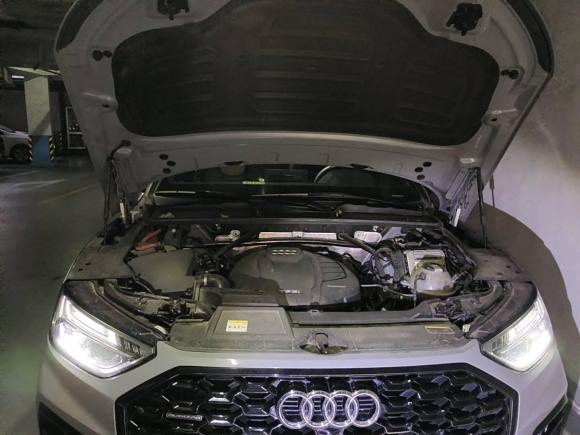 [上海·沪A] 二手奥迪奥迪Q5L Sportback2021款 40 TFSI 上市特别版