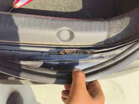 [济南·鲁A] 二手大众朗逸2013款 改款经典 1.6L 自动风尚版