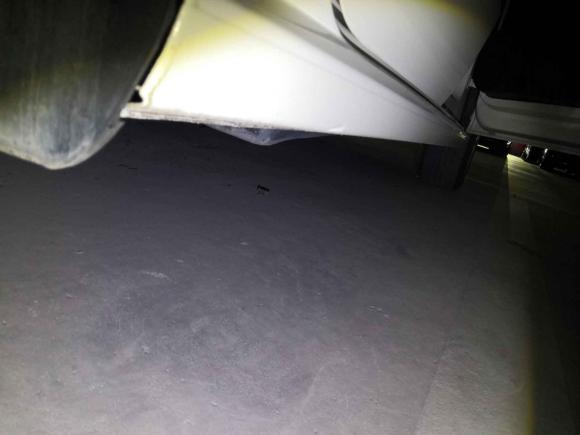 [上海·闽J] 二手大众Polo2013款 1.6L 手动舒适版