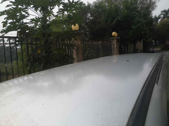 [佛山·粤Y] 二手金杯阁瑞斯2013款 2.0L智领标准型7座 全运纪念版国五