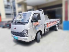 [绍兴·浙D] 五菱汽车五菱龙卡2023款 2.0L 基本型