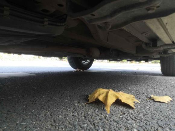 [合肥·皖A] 二手奇瑞瑞虎52016款 1.5T 手动卓越信赖版