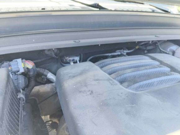 [嘉兴·浙G] 二手坦克坦克3002021款 城市版 2.0T 很有型