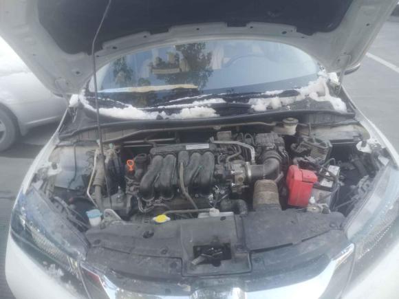 [温州·浙C] 二手本田锋范2019款 1.5L CVT舒适版