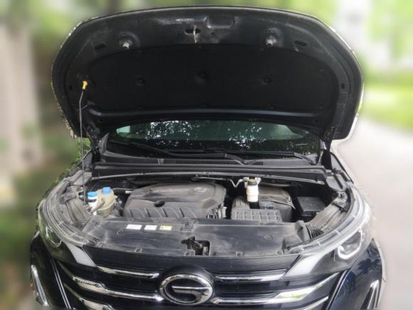 [合肥·皖A] 二手广汽传祺传祺M62019款 270T DCT豪华版（六座）国VI