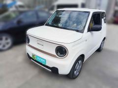[温州·浙C] 吉利汽车熊猫2023款 熊猫mini 200km 耐力熊