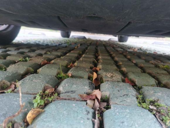 [嘉兴·浙F] 二手丰田卡罗拉2021款 双擎 1.8L E-CVT精英版