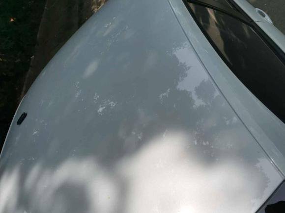 [深圳·粤B] 二手捷达捷达VA32021款 1.5L 自动向上人生版