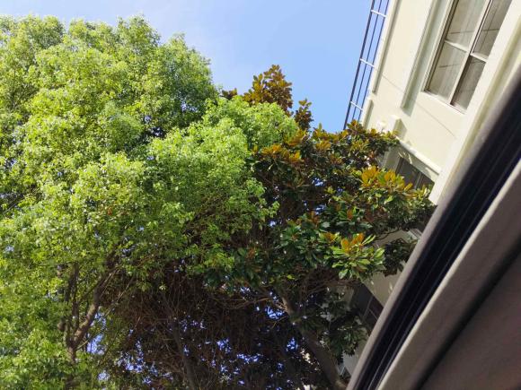 [上海·云C] 二手五菱汽车五菱宏光S32018款 1.5L 手动豪华型 国V