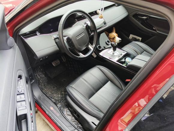 [南京·苏A] 二手路虎揽胜极光2020款 249PS R-DYNAMIC S 运动版