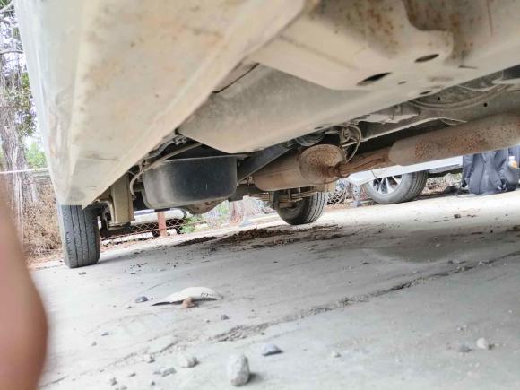 [广州·粤A] 二手五菱汽车五菱宏光V2021款 1.5L劲取版LAR