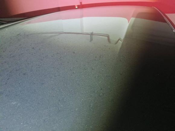 [杭州·浙A] 二手比亚迪海鸥2023款 自由版