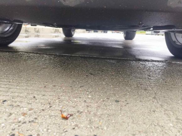 [深圳·粤S] 二手宝马宝马X22022款 sDrive25i M运动套装