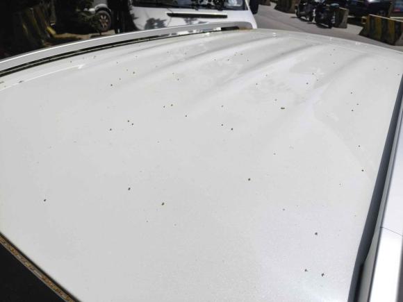 [上海·皖D] 二手奇瑞瑞虎5x2020款 1.5L 手动都市版