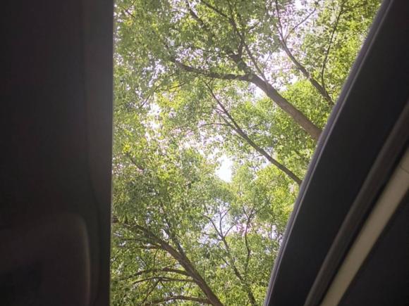 [上海·沪C] 二手萨博Saab 9-32007款 Vector 2.0TS