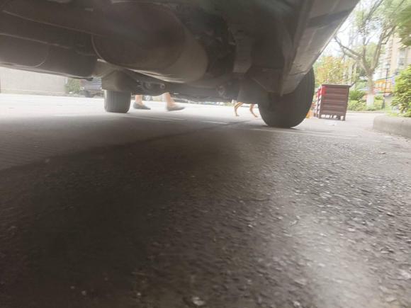 [宁波·浙B] 二手东风风行菱智2019款 改款 M5L 1.6L 7座基本型 国VI